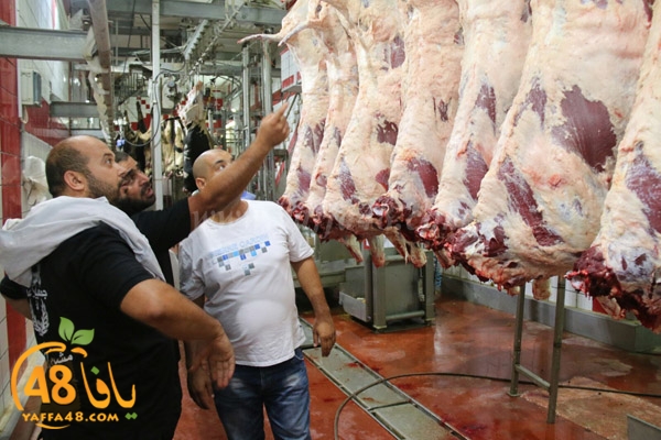 Jam3iya ada7ya (20).jpg